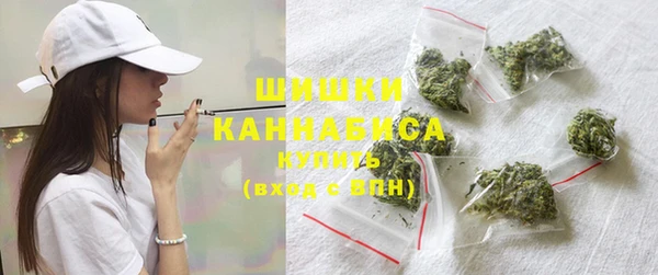 сатива Богданович