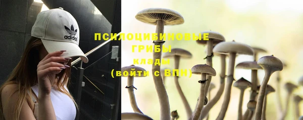 ALPHA PVP Беломорск