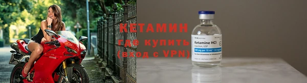сатива Богданович