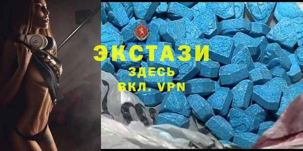 сатива Богданович