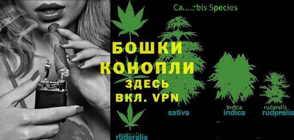 ешки Богородицк