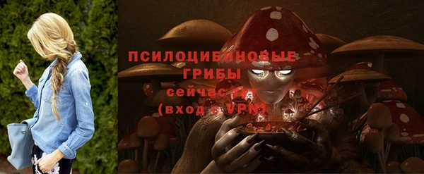ALPHA PVP Беломорск