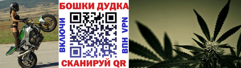купить наркоту  Будённовск  Канабис планчик 